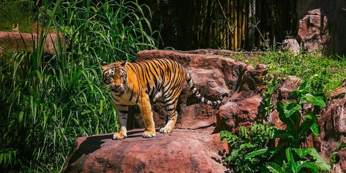 Majestic Rajasthan Tour Package